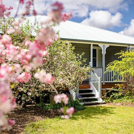 Apple Blossom Cottages Stanthorpe Exterior foto