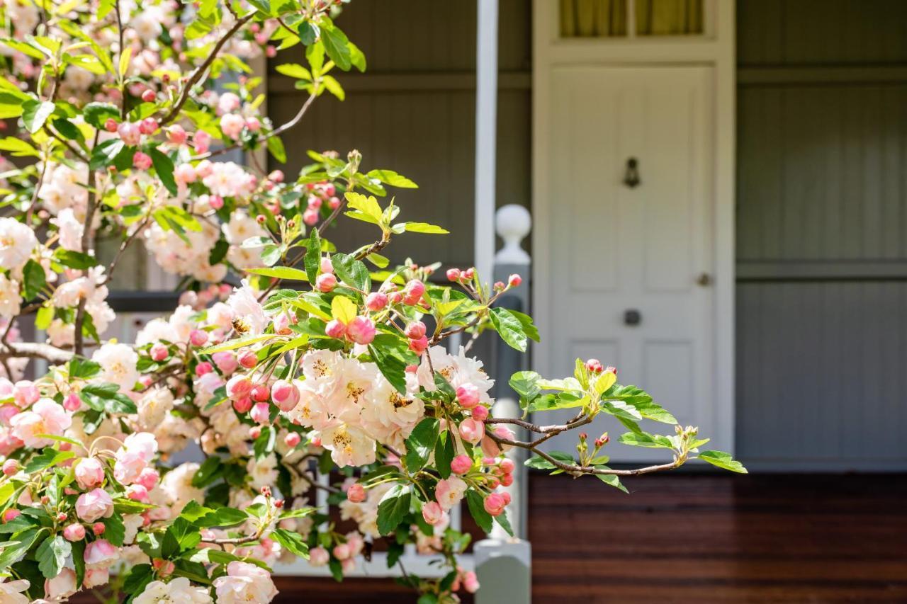 Apple Blossom Cottages Stanthorpe Exterior foto