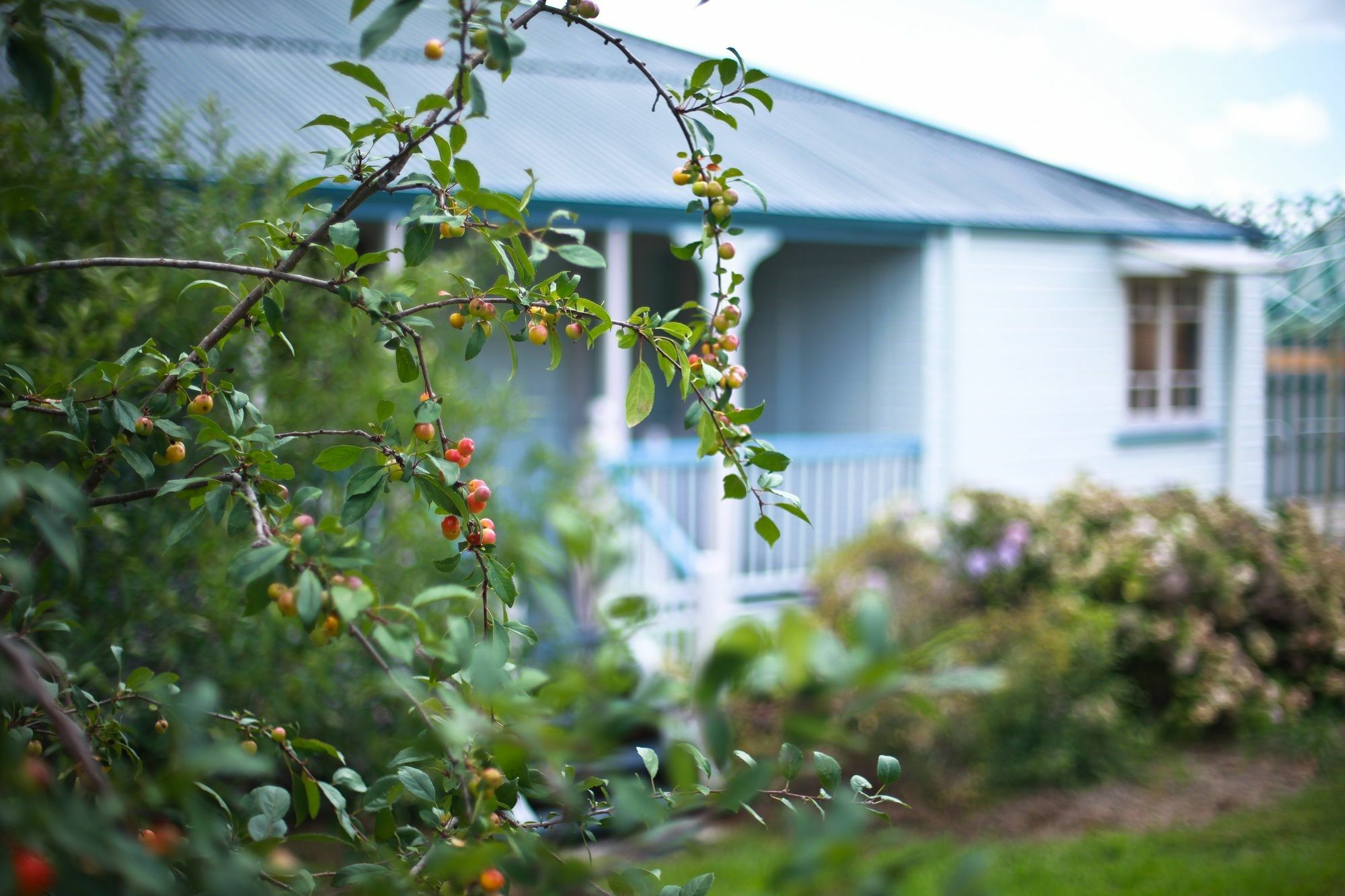 Apple Blossom Cottages Stanthorpe Exterior foto